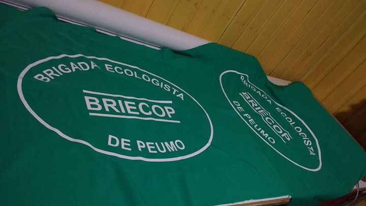 Prenda verde con el logo de la Brigada Ecologista Briecop de Peumo estampado en blanco